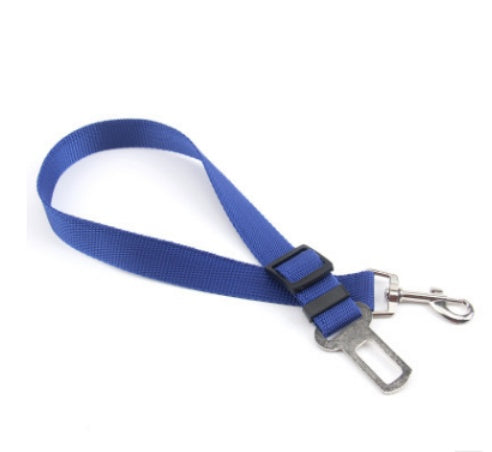 Fixed Strap Polyester Dog Leash - Durable Walking Lead