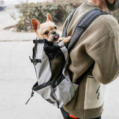 Pet Carrier Backpack - Double Shoulder Travel Bag