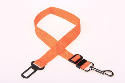 Fixed Strap Polyester Dog Leash - Durable Walking Lead