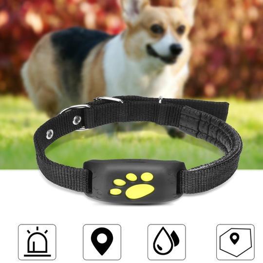 GPS Pet Tracker - Universal Location Device for Dogs & Cats