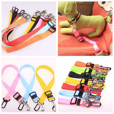 Fixed Strap Polyester Dog Leash - Durable Walking Lead