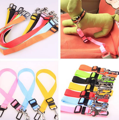 Fixed Strap Polyester Dog Leash - Durable Walking Lead